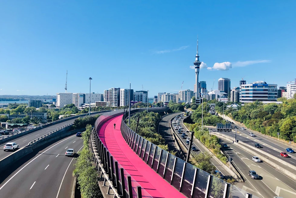 Auckland skyline with a pink running path.