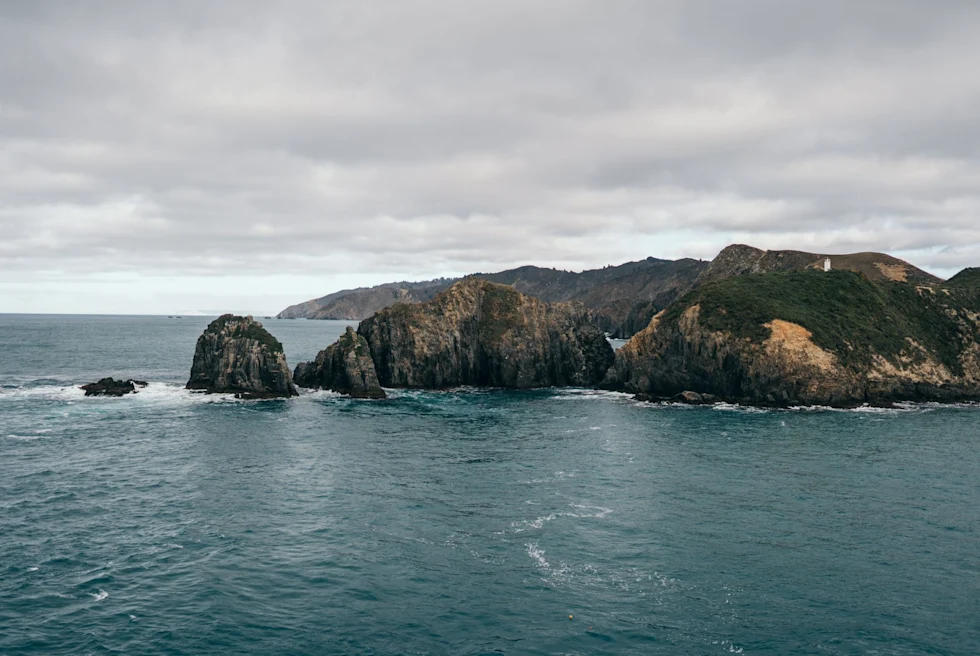 Cook Strait island