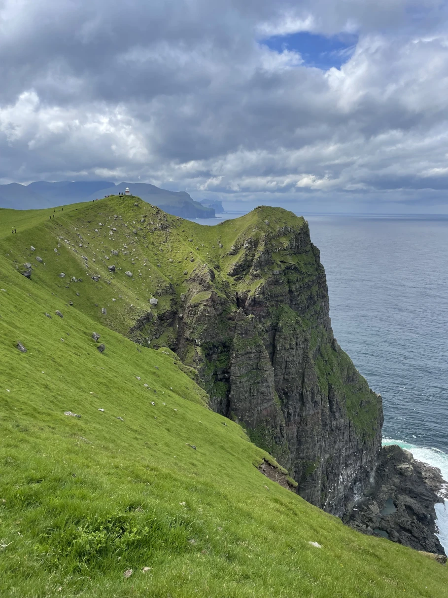 A view of grassy and rocky cliffs with the sea and a cloudy blue sky in the background. 