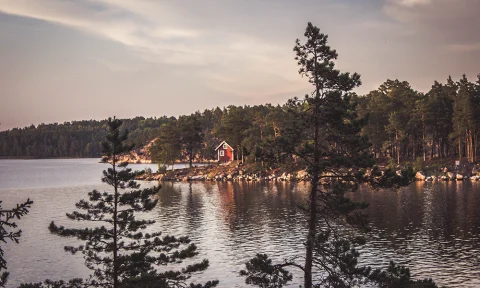 A Guide to the Östergötland Archipelago in Sweden curated by Yahnny Adolfo San Luis