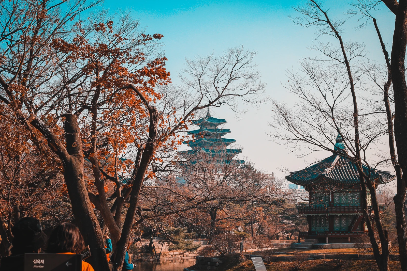 trees with temple in background during daytime