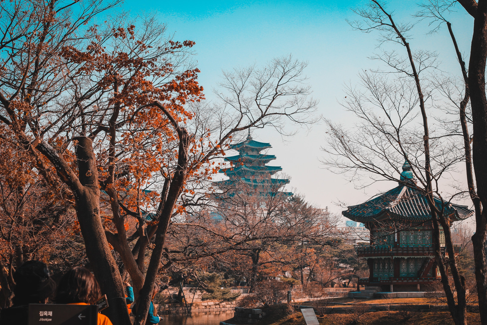 trees with temple in background during daytime