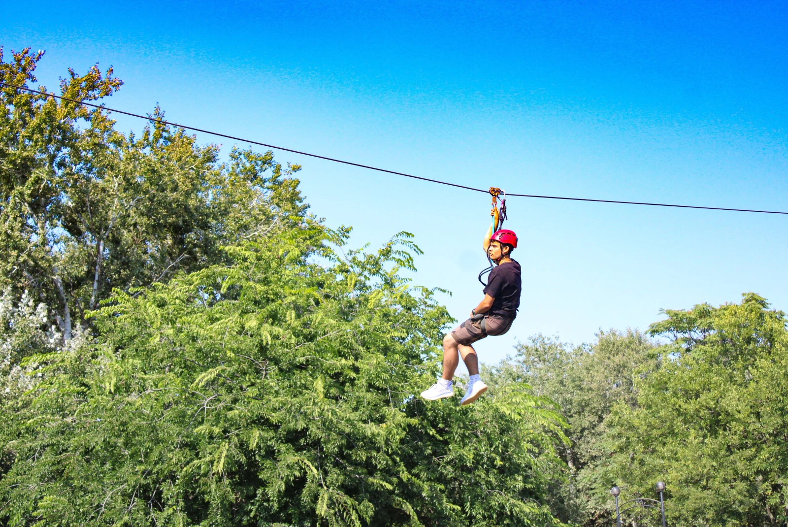 boy hangs on a zip line surrounded by trees during daytime