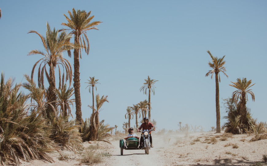 two people in a small open-air vehicle cruise down a desert path flanked by palm trees