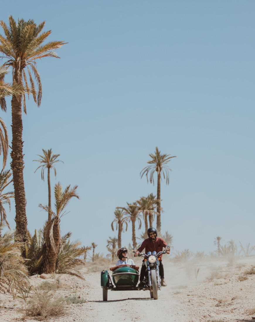 two people in a small open-air vehicle cruise down a desert path flanked by palm trees