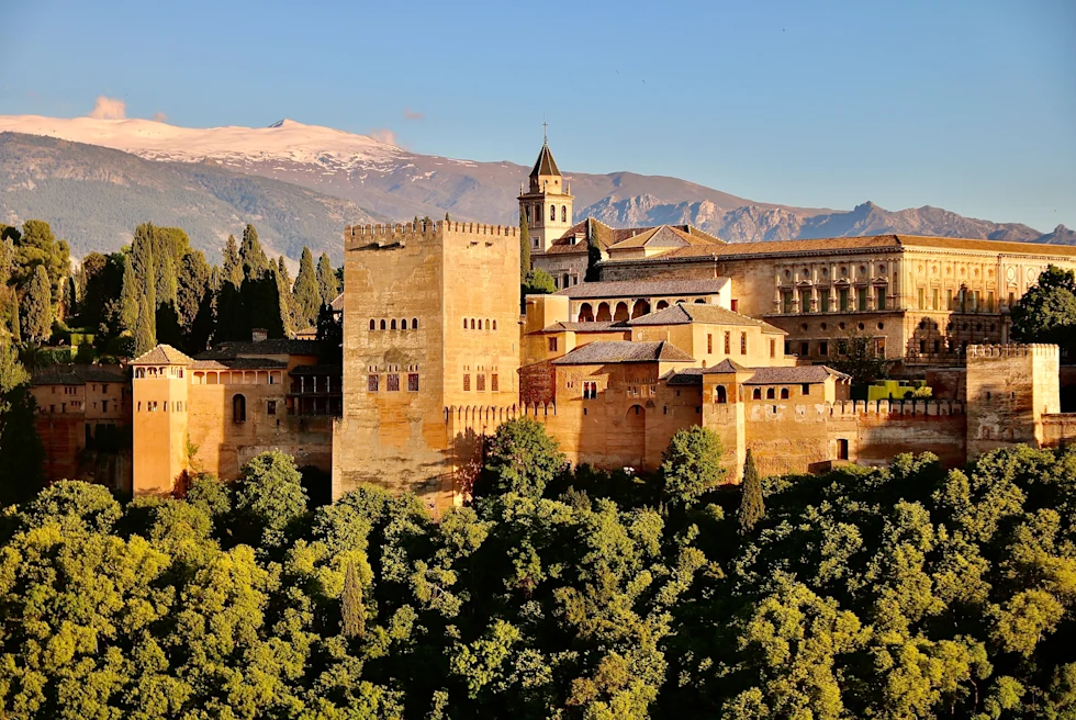 large castle surrounded by trees during daytime