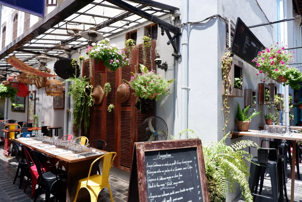 restaurant covered in potted plants 