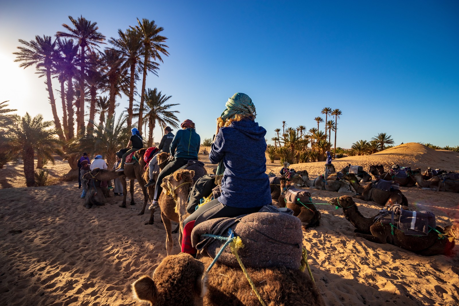 people riding camels next to palm trees during daytime