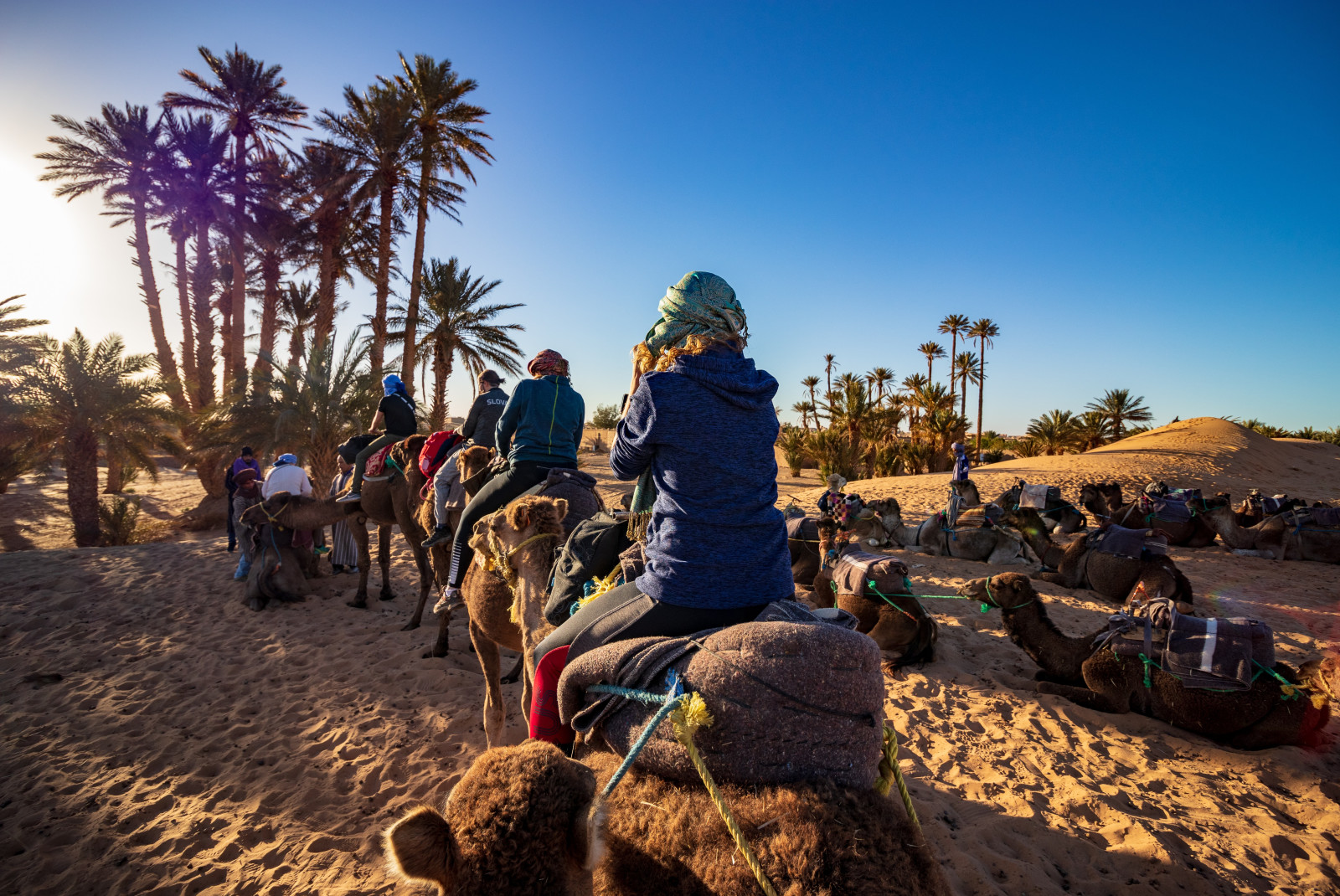 people riding camels next to palm trees during daytime