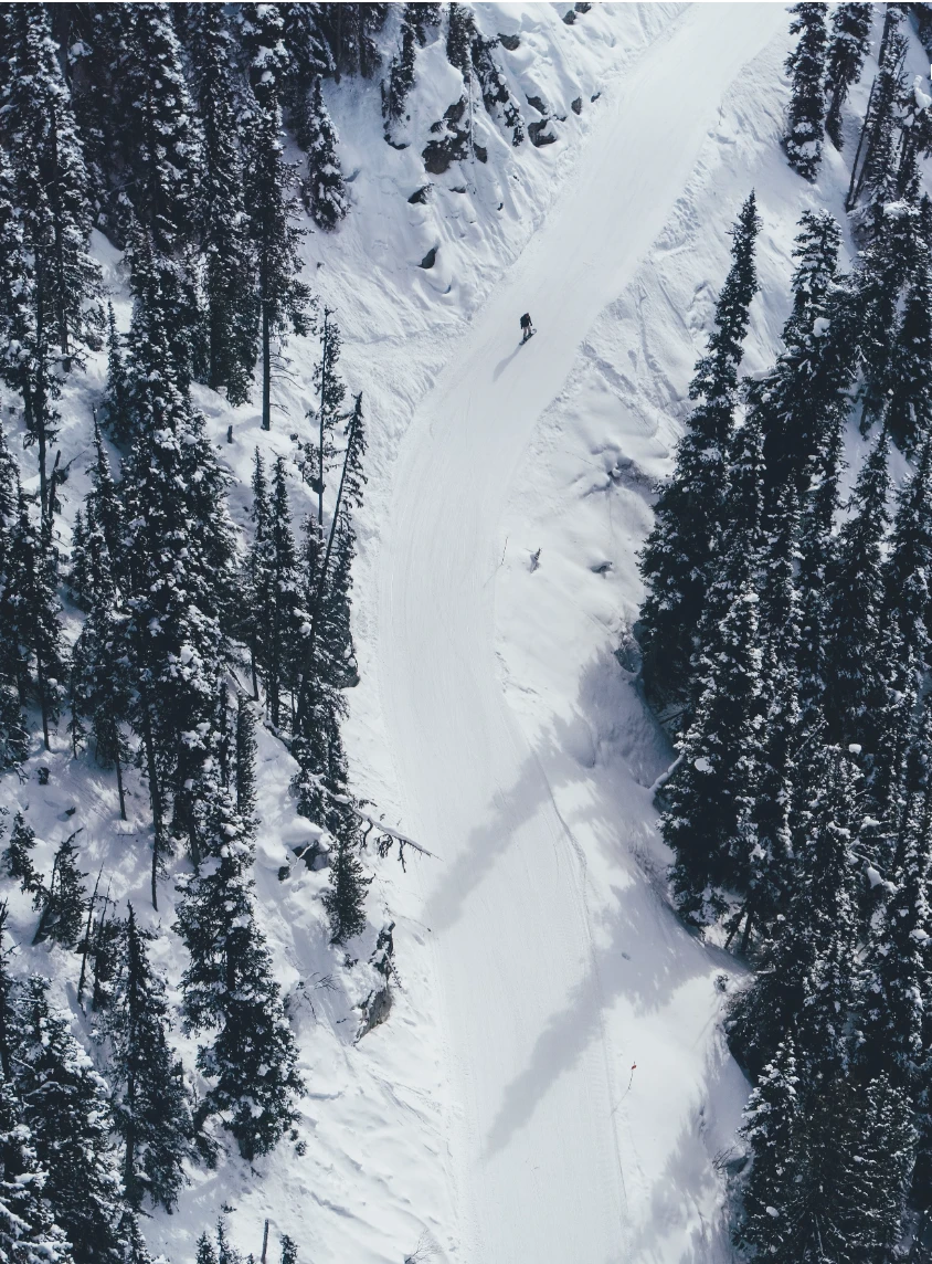 An overhead view of a ski trail surrounded by pine trees. 