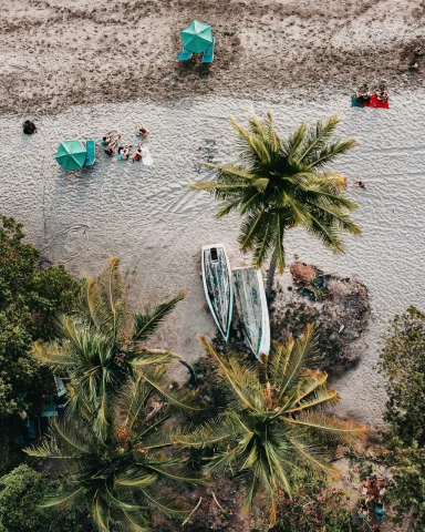 Aerial view of palm tree, beach umbrellas and kayaks on the beach in Costa Rica