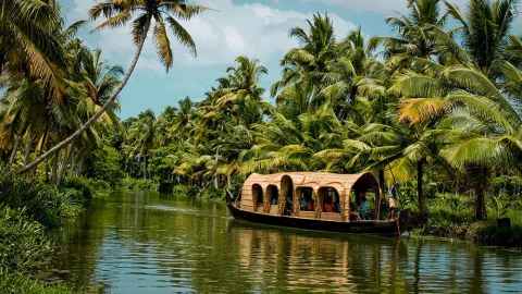 Sustainable Guide to Kerala, India curated by Fora