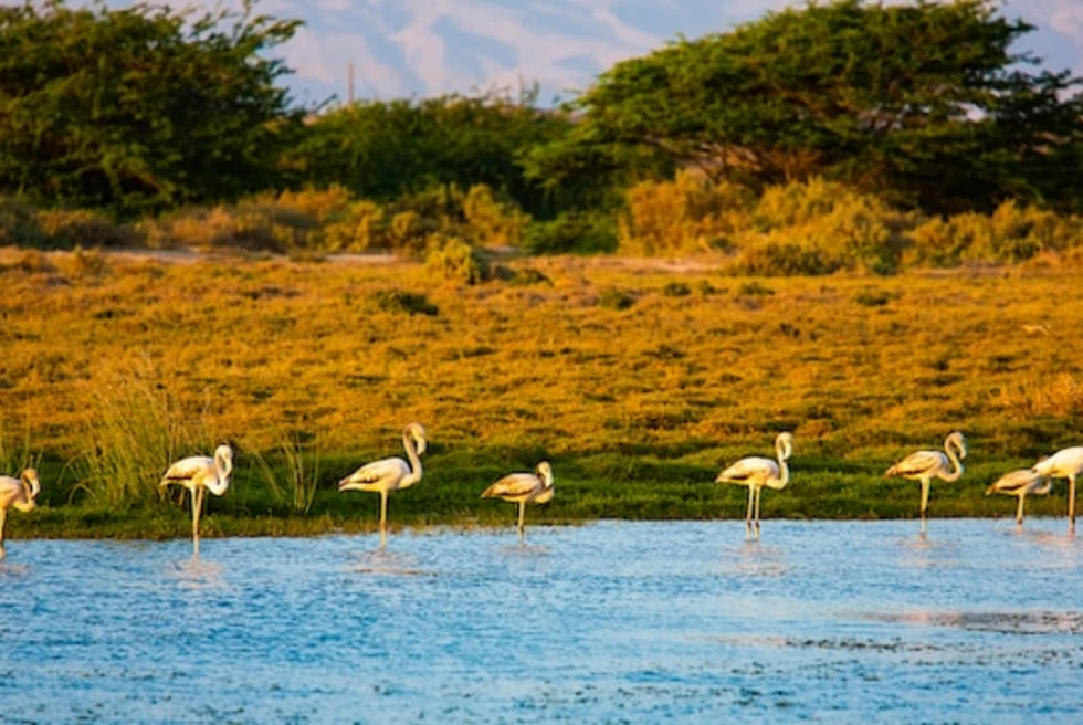 Salalah Lake