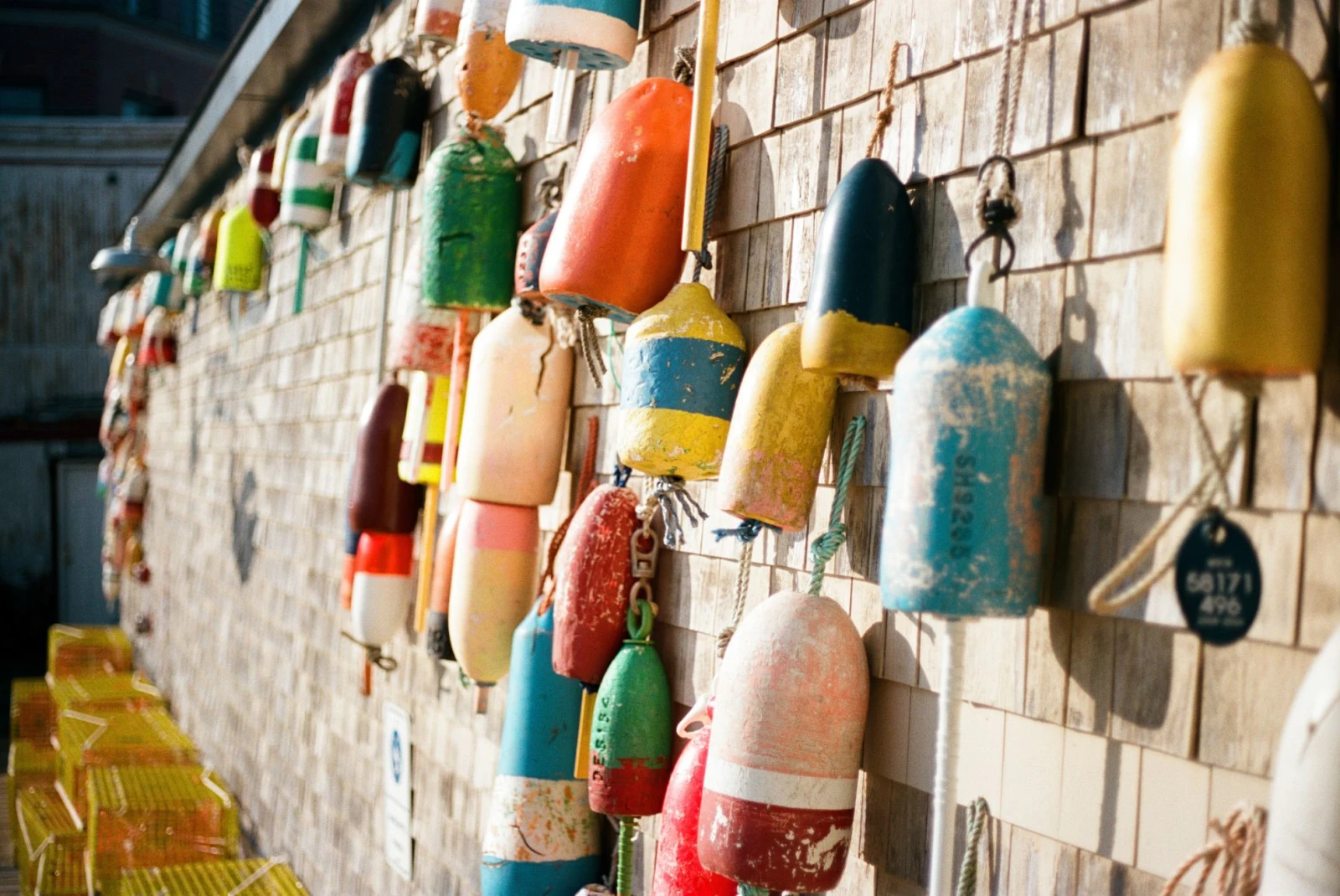 colorful boueys hung on a wall