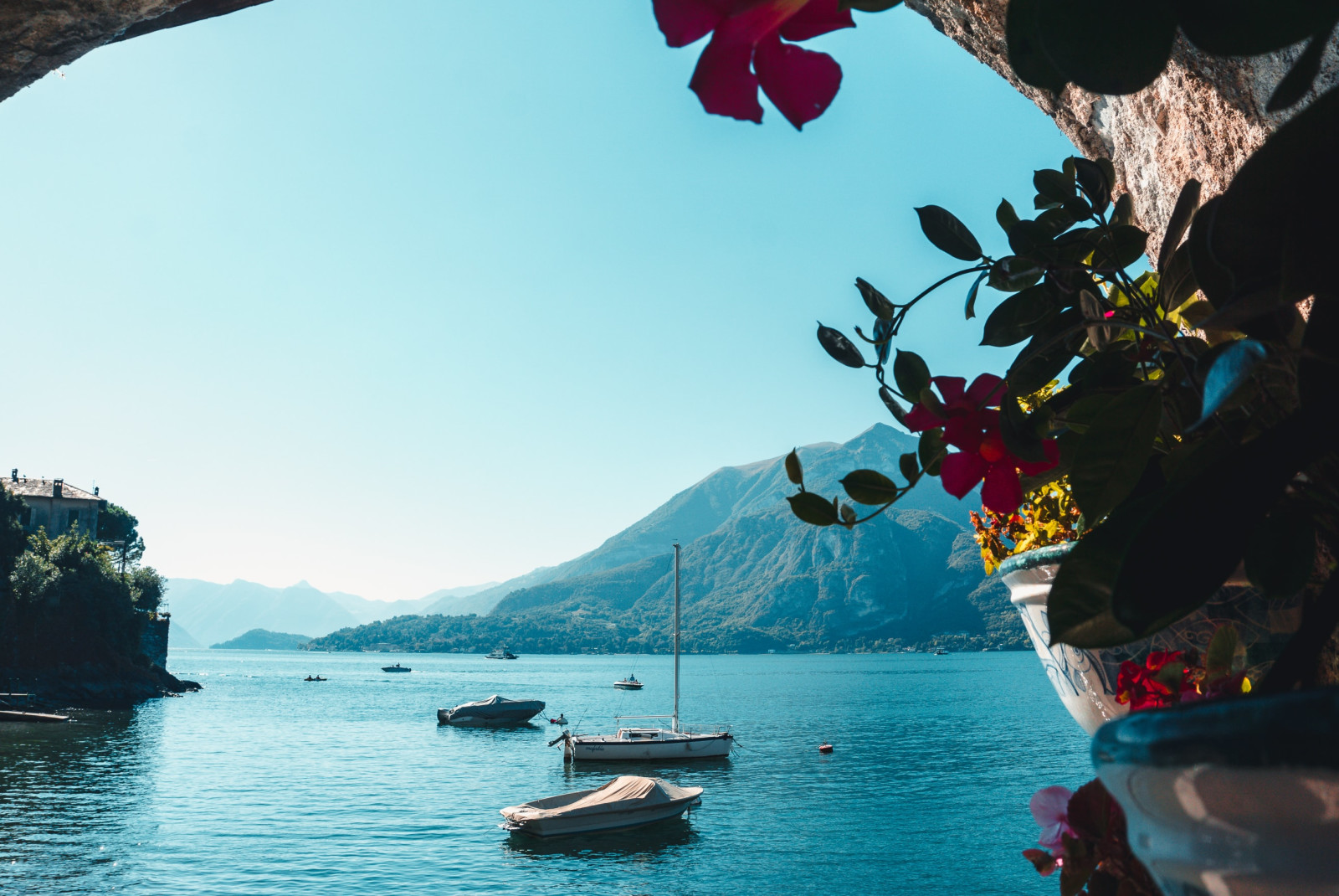 Pink flowers in front of a lake with white boats on blue water in Lake Como, Italy.