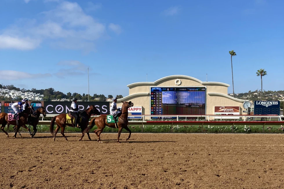 Del Mar Race Track is a thoroughbred horse racing from Southern California.
