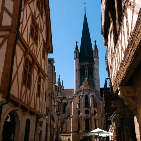 Old Town Dijon is where you can find the Church of Notre Dame, Dijon France