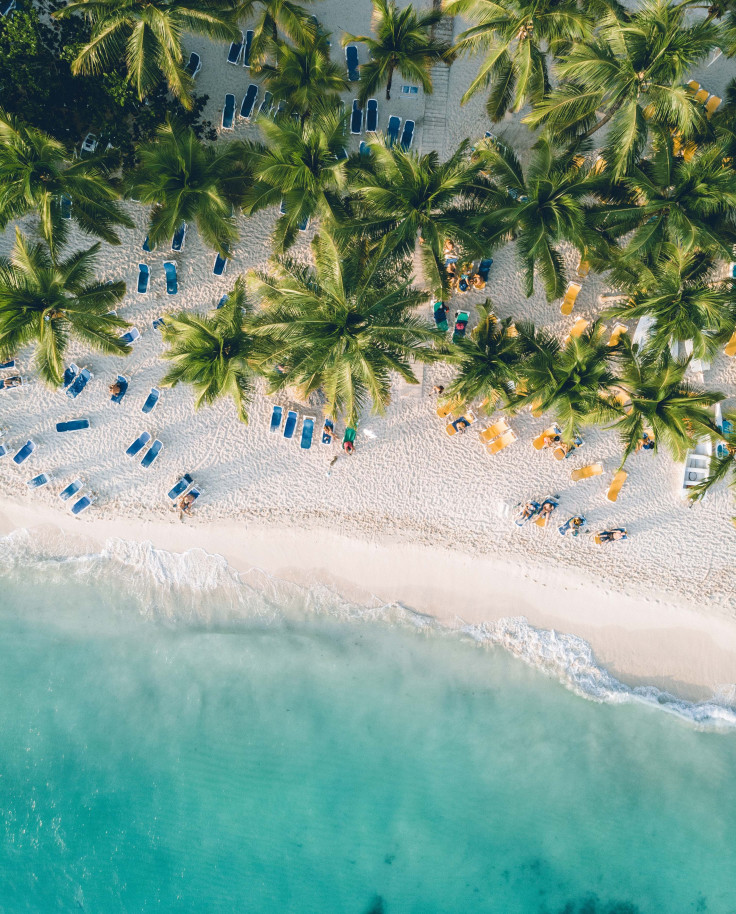 Aerial view of body of water next to beach with blue lounge chairs and palm trees