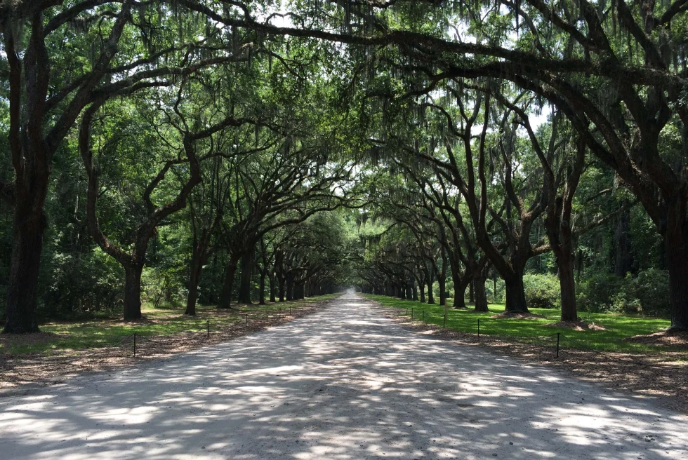 Forsynth park in Savannah Georgia.