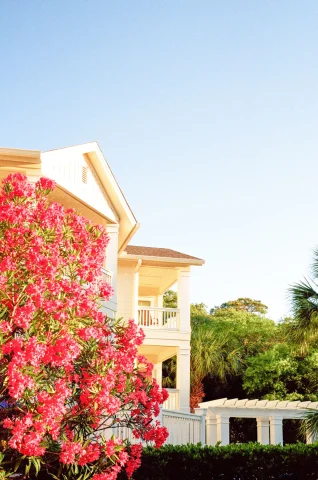 white columns and balconies of an old house with a pink flowering tree
