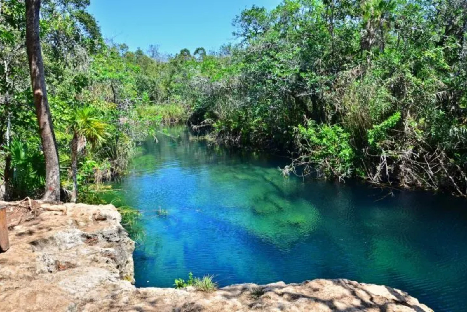 Large body of water next to rocks and trees during daytime