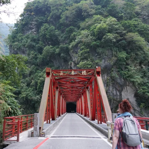 Taroko Gorge is a breathtaking natural wonder in Taiwan characterized by marble cliffs, lush forests, and winding trails.
