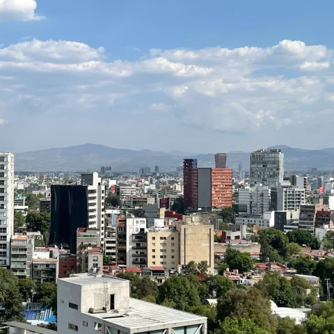 cityscape on a sunny day