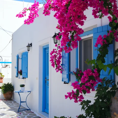 Island Hopping in Greece curated by Aimee Suthann