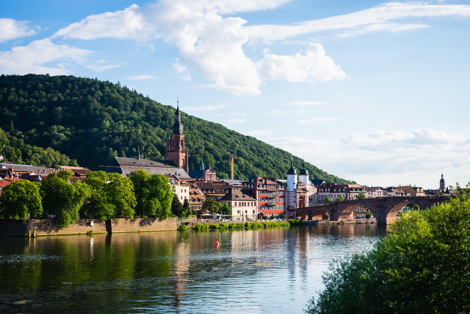 View of river and buildings in Heidelberg, Germany