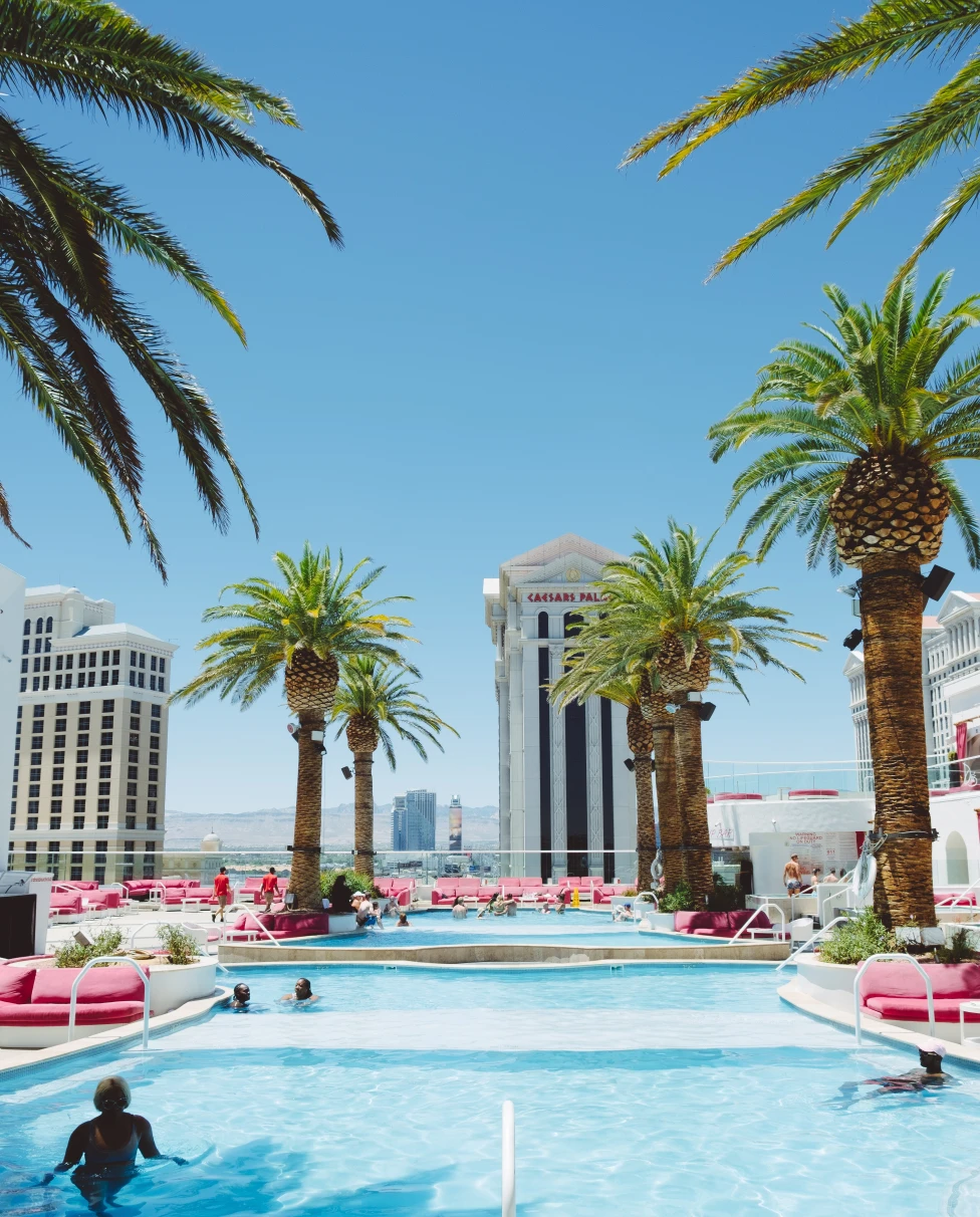 A pool with pink chairs and palm trees. 