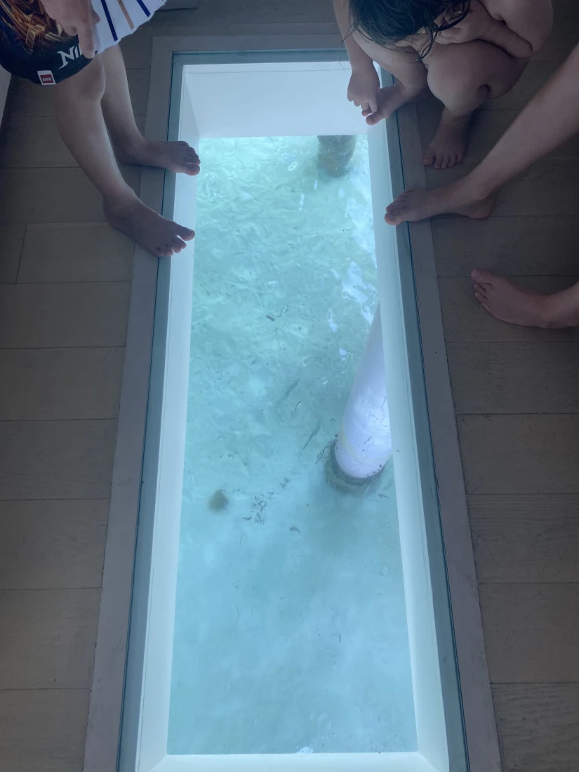 View of sea from glass floor