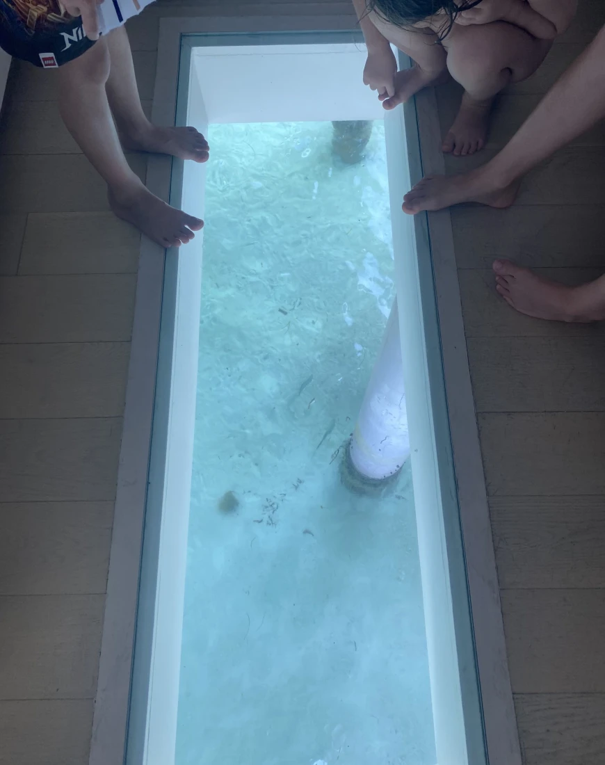 View of sea from glass floor