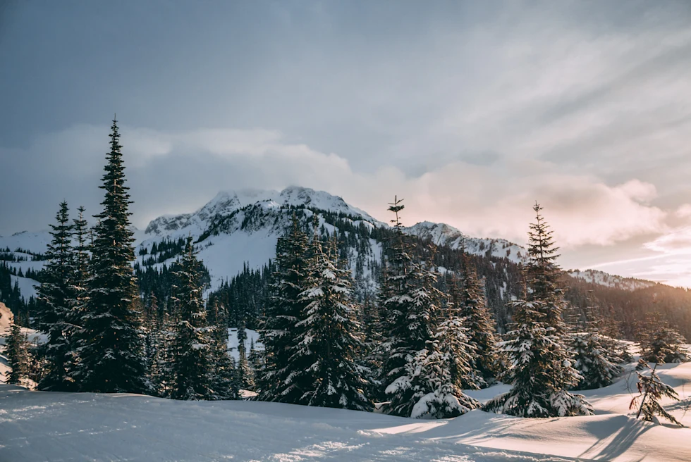 white snowy mountains during daytime