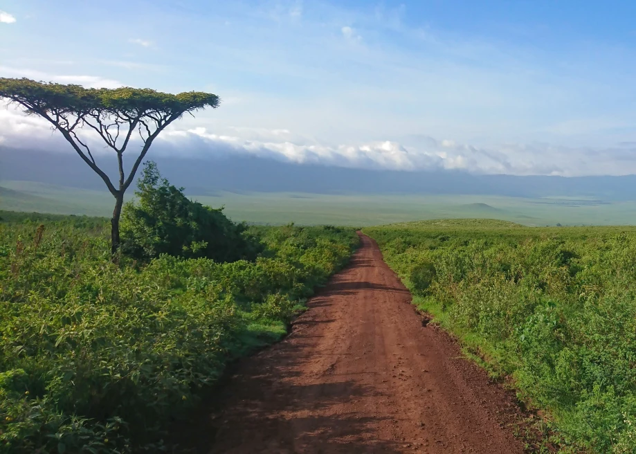 A Two-Week Safari and Mount Kilimanjaro Summit Adventure in Tanzania - Day 3: Ngorongoro Crater