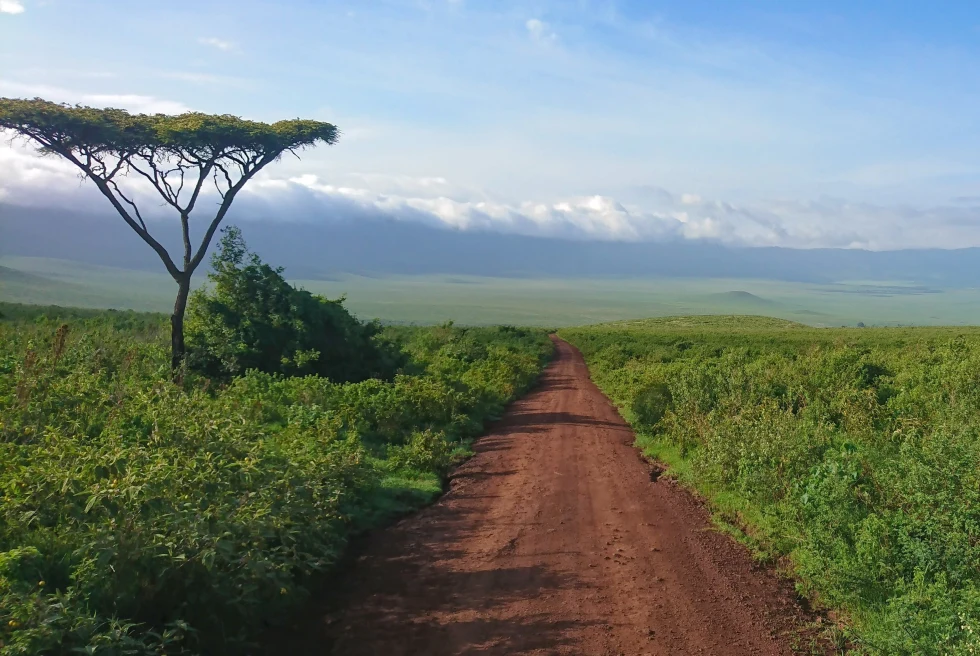 A Two-Week Safari and Mount Kilimanjaro Summit Adventure in Tanzania - Day 3: Ngorongoro Crater