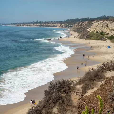 Crystal Cove State Park is the beach that is popular with swimmers and surfers.