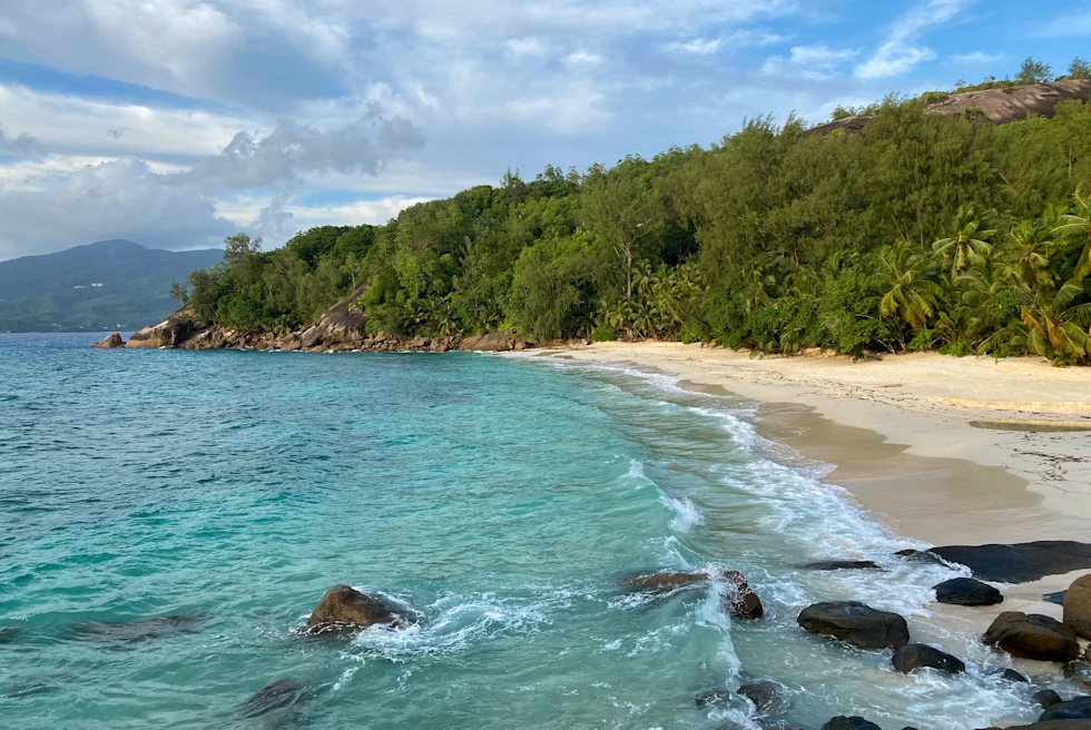 Crystal blue water with surfing waves crashing on tan sand and green lush forest in the Seychelles.
