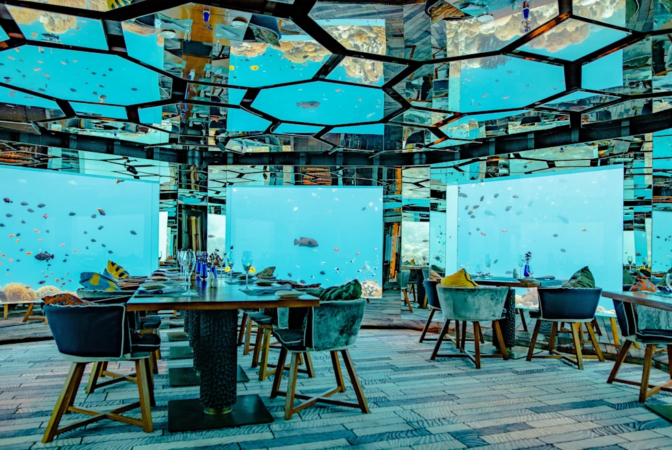 Under sea, aquarium restaurant with all glass and fishes outside.