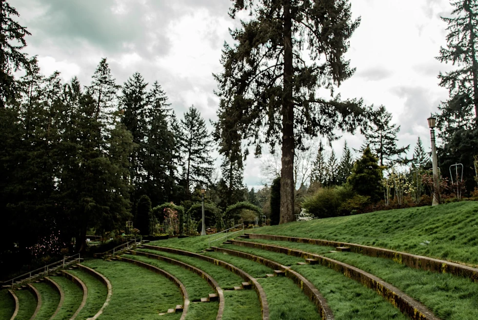 tiered grassy knoll with tall trees