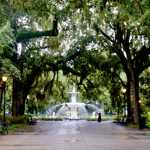 pretty fountain with trees