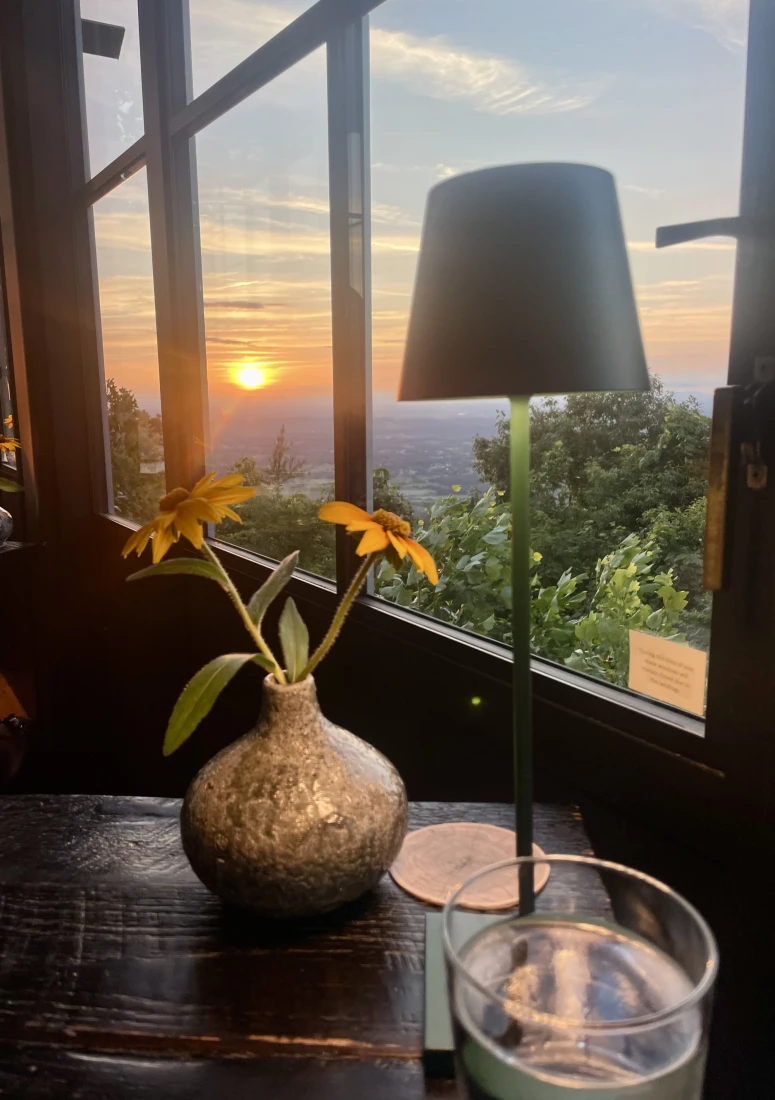 A small lamp and vase with two flowers in them, positioned in front of a window that looks out onto the orange sunset. 