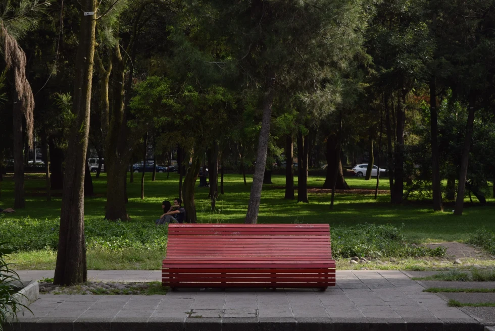 Red bench next to trees during daytime