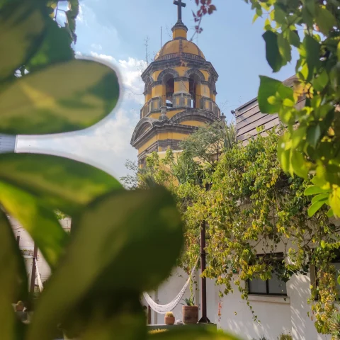 old church through trees in sunshine