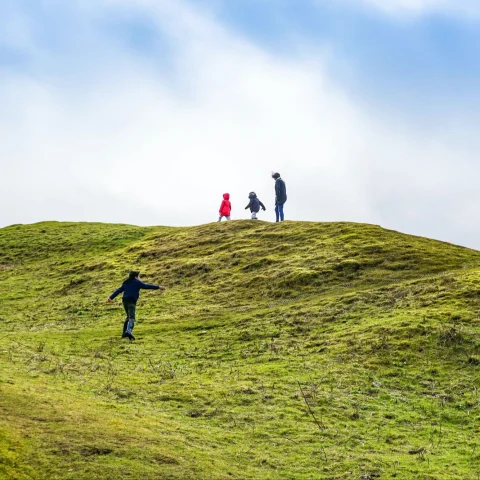 family walking on a grassy hill