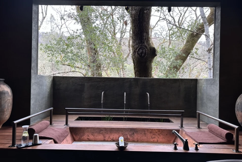 a luxe bathtub with views of trees