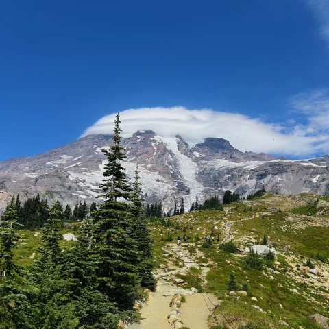 Mount Rainier National Park is the most glaciated peak in the contiguous U.S.A., spawning five major rivers.