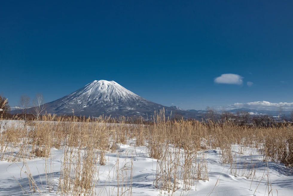 Snow-covered ground with snow-capped mountain in the distance during daytime