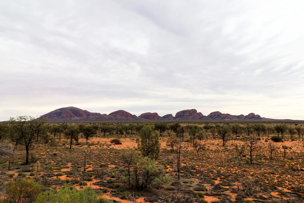 A dessert landscape with trees and rocky hills.