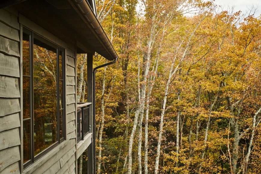 a wooden house overlooks a forest of orange trees
