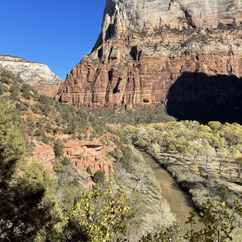 mountainside during daytime